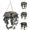 Mondex LINDI KEEPAK 50 CM 3 TÜÜPI Mondex LINDI KEEPAK 50 CM 3 TÜÜPI