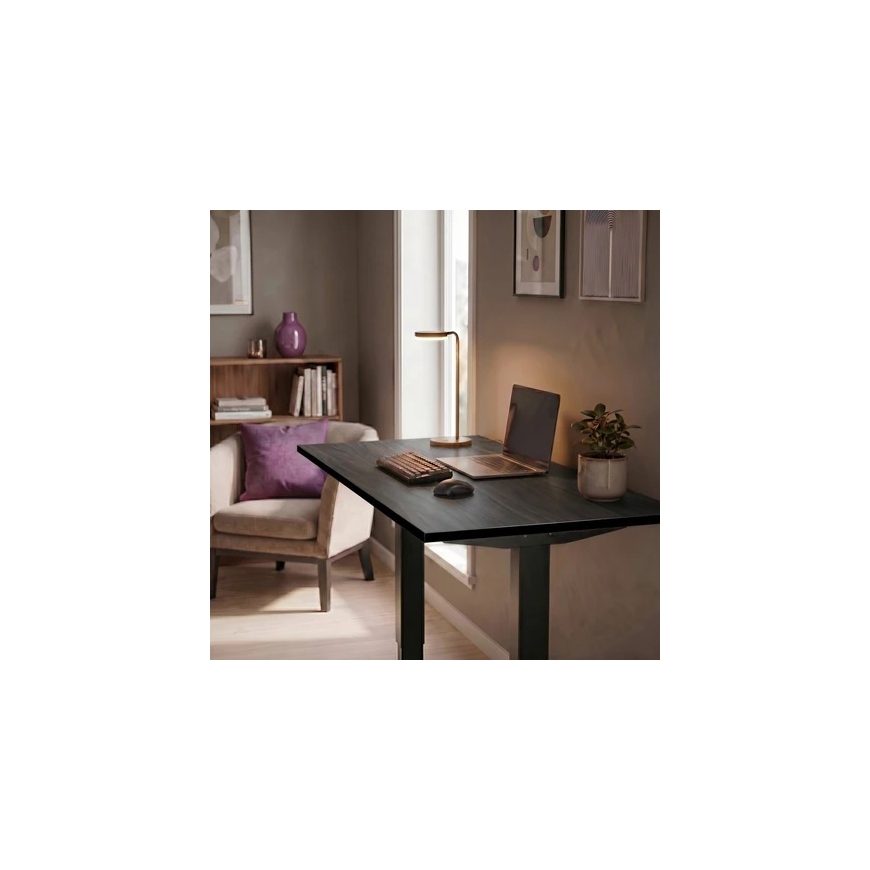 Spacetronik Työtaso 120x60x2,5 cm Palone puu – 2
