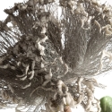 Eurofirany Kw/Flore/895/Pop Popi+Green Eurofirany Kw/Flore/895/Pop Popi+Green