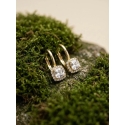 Brilio Silver Glittering Gold Plated Earrings with Zirconia EA396Y Brilio Silver Glittering Gold Plated Earrings with Zirconia EA396Y