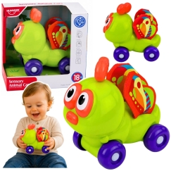 Lean Toys Aistillinen kovakuoriainen pyörillä Vihreä