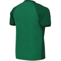 Marškinėliai vaikams Nike Dri-FIT Trophy VI žalia HV8158 302 (XS) Marškinėliai vaikams Nike Dri-FIT Trophy VI žalia HV8158 302 (XS)