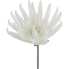 Eurofirany KW/FLORE/830/B B