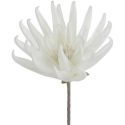 Eurofirany KW/FLORE/830/B B Eurofirany KW/FLORE/830/B B