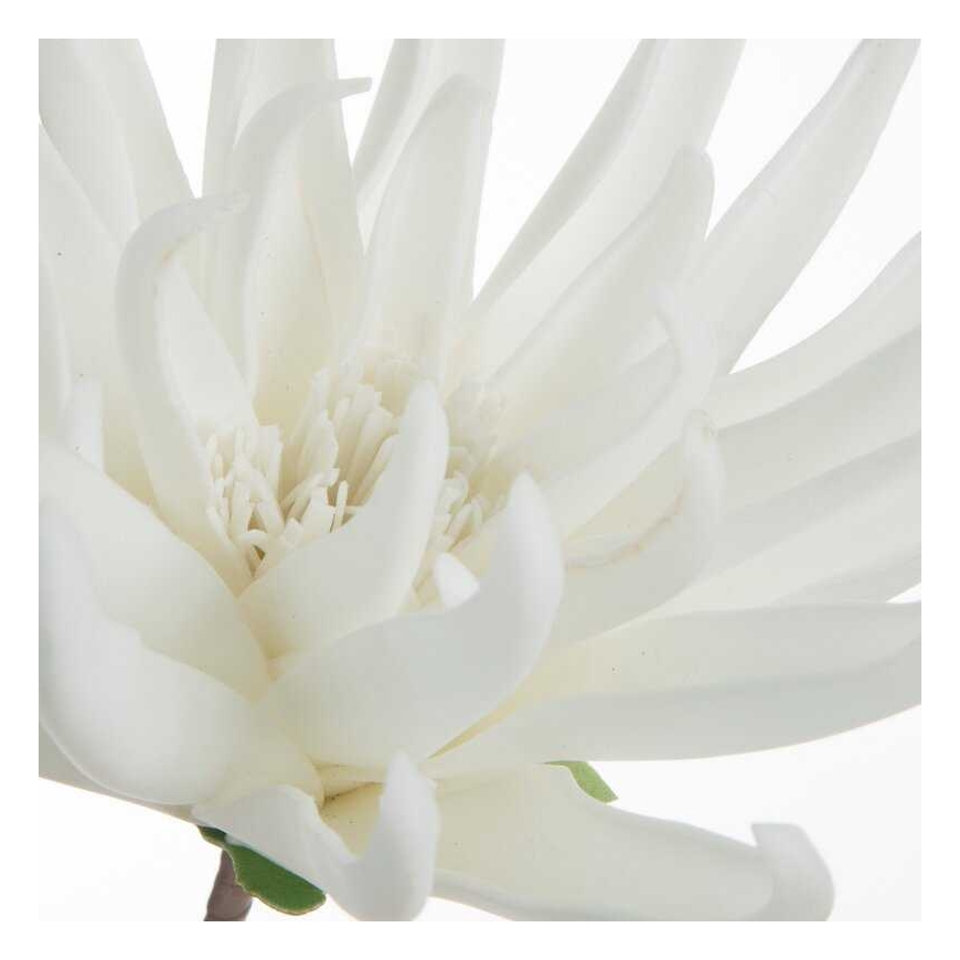 Eurofirany KW/FLORE/830/B B – 2
