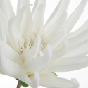 Eurofirany KW/FLORE/830/B B Eurofirany KW/FLORE/830/B B