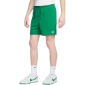 Šortai vyrams Nike Club žalia FN3520 365 (L) Šortai vyrams Nike Club žalia FN3520 365 (L)