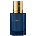 Davidoff Cool Eliksyras Intense PP kvepalai vyrams, 30 ml Davidoff Cool Eliksyras Intense PP kvepalai vyrams, 30 ml