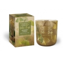 Mondex Aromātiskā svece stiklā GOLDEN GINKO 150g ZAĻO TOŅU Mondex Aromātiskā svece stiklā GOLDEN GINKO 150g ZAĻO TOŅU