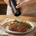 Rechargeable Salt and Pepper Mill Zyle ZY9579BL Black Rechargeable Salt and Pepper Mill Zyle ZY9579BL Black