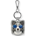 Locatorr Nimmy Glasses Case Cool and Cute Dog Grey Color Locatorr Nimmy Glasses Case Cool and Cute Dog Grey Color
