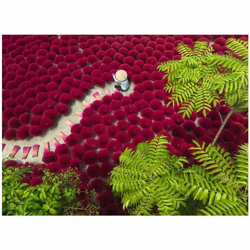 Ravensburger Puzzle 500 pcs - Nature – 2
