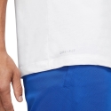 Мужская футболка Nike Nk Df Te Dfc Crew Solid белая AR6029 100 (L) Мужская футболка Nike Nk Df Te Dfc Crew Solid белая AR6029 100 (L)