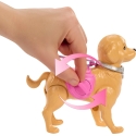 Matteli Barbie nukk koos kutsika ja harjaga