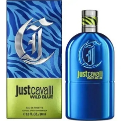 Roberto Cavalli Just Cavalli Wild Blue (EDT) tualettvesi meestele 90 ml