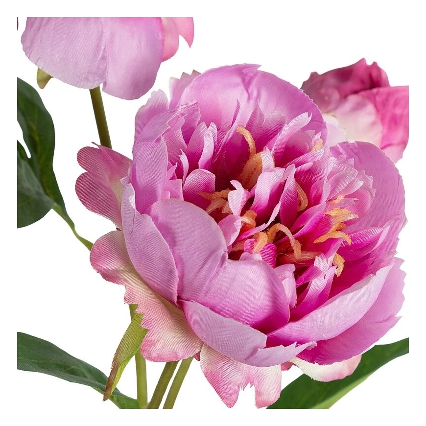 Eurofirany KW/NATU/489/C.R Red Rose – 2