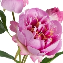 Eurofirany KW/NATU/489/C.R Sarkans roze Eurofirany KW/NATU/489/C.R Sarkans roze