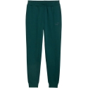 Puma ESS no.1 Logo Sweatpants FL roheline 682607 70 (M) Puma ESS no.1 Logo Sweatpants FL roheline 682607 70 (M)