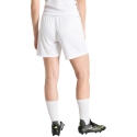 adidas Entrada 26 naisten shortsit valkoiset JZ2537 (XL) adidas Entrada 26 naisten shortsit valkoiset JZ2537 (XL)