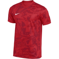 Vyriški marškinėliai Nike Dri-Fit Precision VII raudona FZ9332 657 (M)