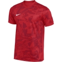 Nike Dri-Fit Precision VII miesten t-paita punainen FZ9332 657 (M) Nike Dri-Fit Precision VII miesten t-paita punainen FZ9332 657 (M)