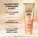 Pantene Kondicionierius Grow Abundant plaukų slinkimą stabdantis kondicionierius 250 ml Pantene Kondicionierius Grow Abundant plaukų slinkimą stabdantis kondicionierius 250 ml