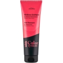 Joanna „Color System Viral“ šampoon värvitud juustele, 260 ml Joanna „Color System Viral“ šampoon värvitud juustele, 260 ml