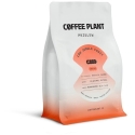 Coffee Plant Coffee plantation LOW CAFFEINE coffee beans LOW "Jungle Fruit" filter 250 g