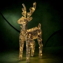 Koopman Christmas Decoration Deer 60 cm with Timer 60 LED Gold (998901) Koopman Christmas Decoration Deer 60 cm with Timer 60 LED Gold (998901)