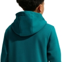 Nike Sportswear Club Fleece lasten fleece vihreä FD3000 372 (XS)