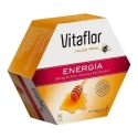 Vitaflor Karališkoji želė Energija 20 ampulių 200 ml Vitaflor Karališkoji želė Energija 20 ampulių 200 ml
