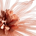 Eurofirany KW/ORGANZA/4/BRUN Eurofirany KW/ORGANZA/4/BRUN