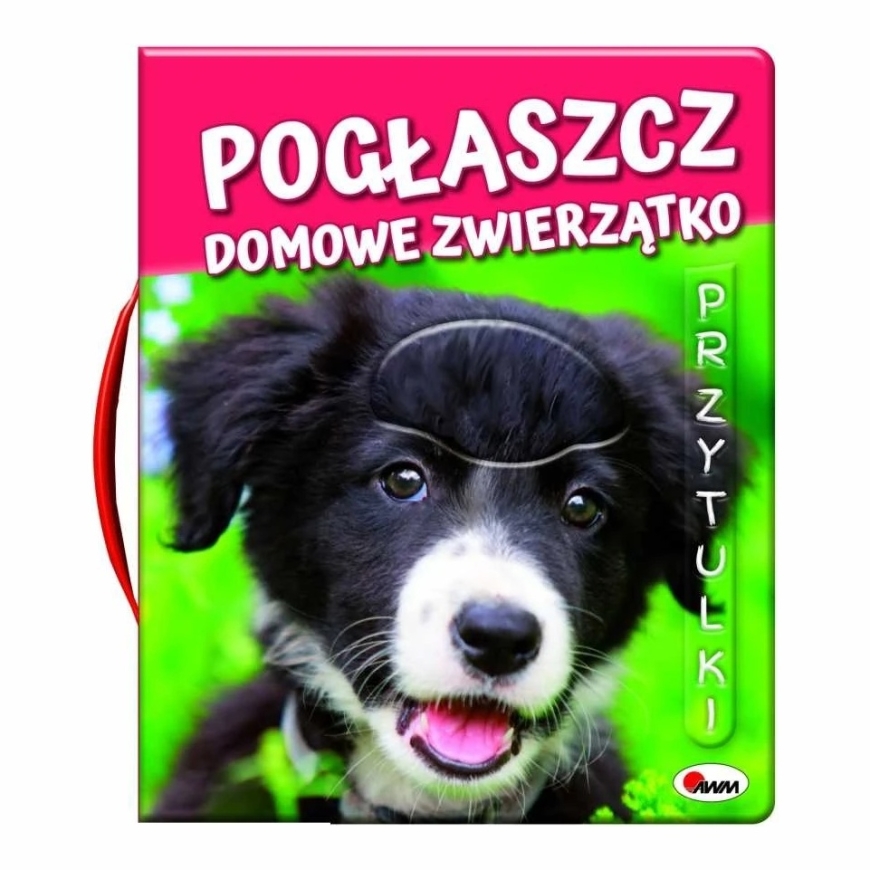 Morex PRINCAS. pet - pet, stroked – 2