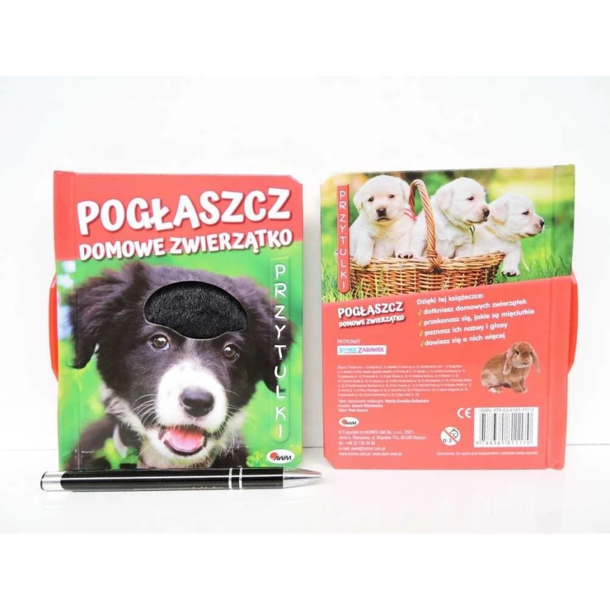 Morex PRINCAS. augintinis - augintinis, glostytas – 4