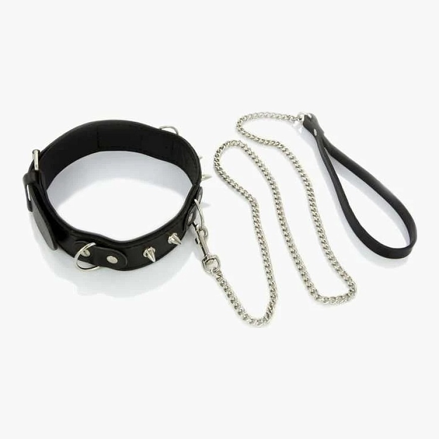 Whips Collections Komplekt rihma kaelarihm looduslik nahk niatid koer – 4
