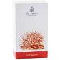 Carthusia Corallium EDP унисекс парфюмерная вода, 100 мл Carthusia Corallium EDP унисекс парфюмерная вода, 100 мл