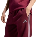 Kelnės vyrams adidas Essentials 3-Stripes Fleece Tapered Cuffed bordo spalvos KY4134 (XL) Kelnės vyrams adidas Essentials 3-Stripes Fleece Tapered Cuffed bordo spalvos KY4134 (XL)