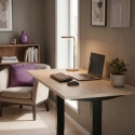Spacetronik Galda virsma 120x60x2,5 cm Klasiska ozols Spacetronik Galda virsma 120x60x2,5 cm Klasiska ozols