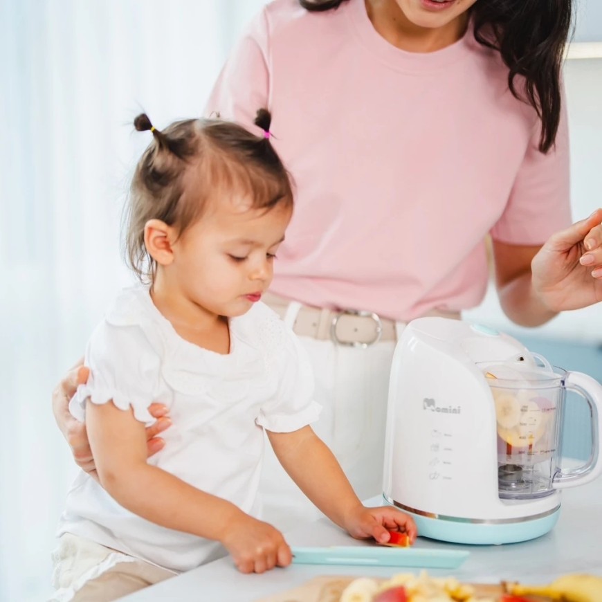 Momini 4in1 Steam Mixer with Defrost Function TinyJar – 4