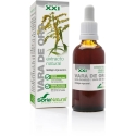 Soria Goldenrod ekstraktas S Xxi 50ml Soria Goldenrod ekstraktas S Xxi 50ml