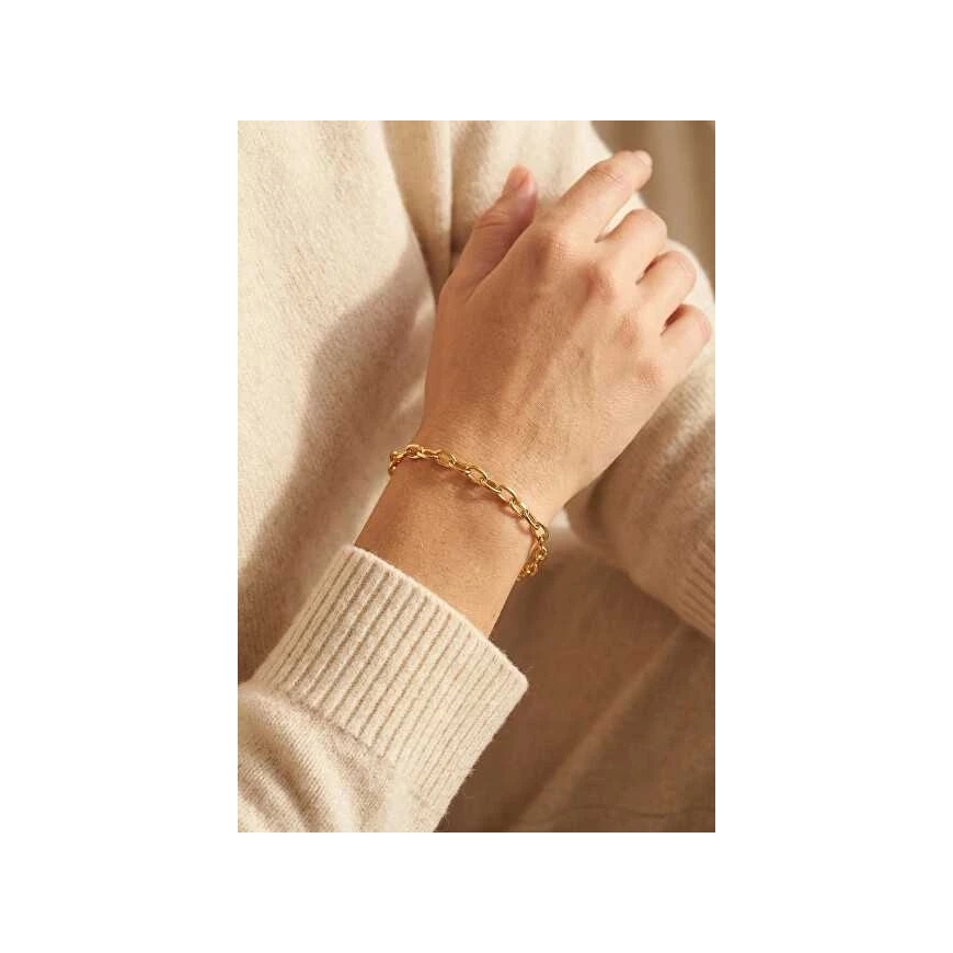Victoria Walls Nesenstanti позолоченный браслет „Elaris Gold VWB260607G“ – 2