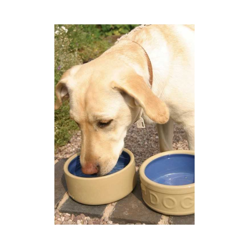 Miska šuniui CANE & Mėlynas LETTERED 13 cm / Mason Cash – 5