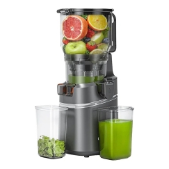 AMZCHEF CE-SJ-036C-GA Slow Juicer