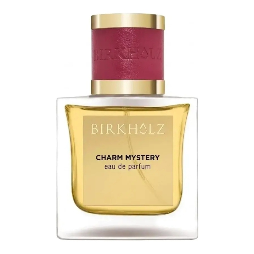 BIRKHOLZ CHARM MYSTERY EDP 100 ML