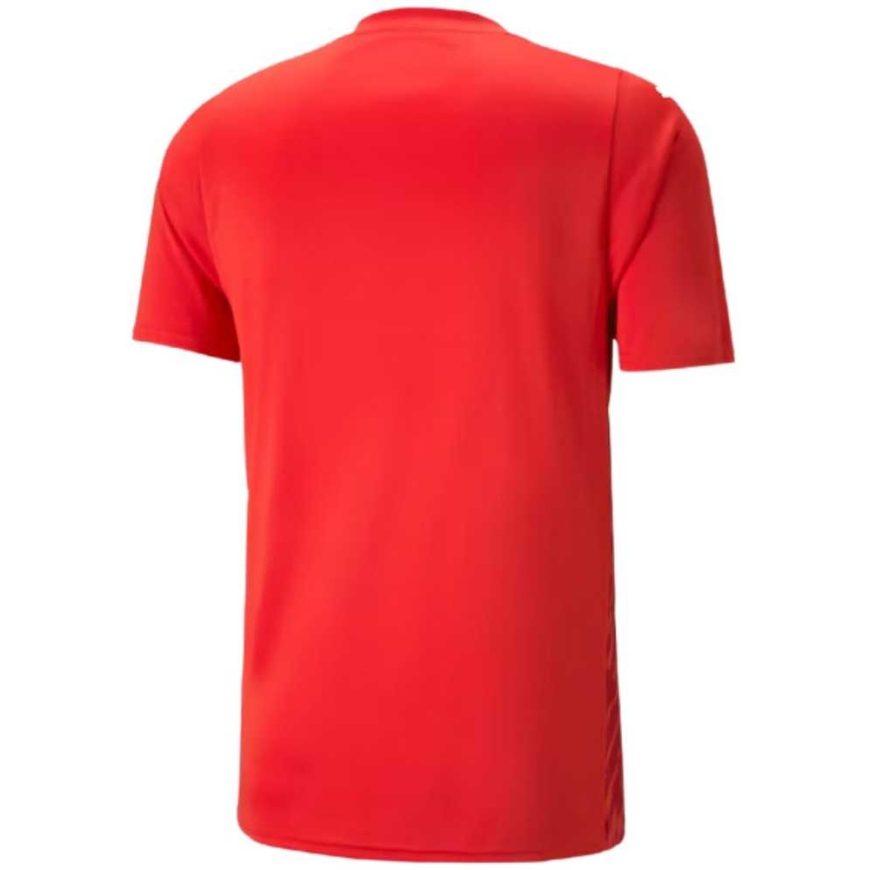 Vyriški marškinėliai Puma teamULTIMATE raudona 705371 01 (XL) – 2