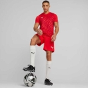 Vyriški marškinėliai Puma teamULTIMATE raudona 705371 01 (XL)