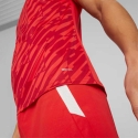 Vyriški marškinėliai Puma teamULTIMATE raudona 705371 01 (XL)