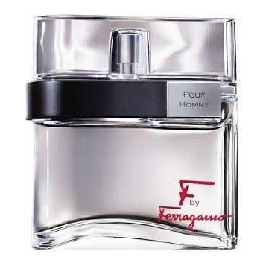 Тестер EDT 100 мл Salvatore Ferragamo Pou Home