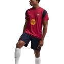 Vīriešu t-krekls Nike FC Barcelona bordo II1839 621 (XL) Vīriešu t-krekls Nike FC Barcelona bordo II1839 621 (XL)