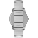 Часы Timex Easy Reader Classic TWG025400